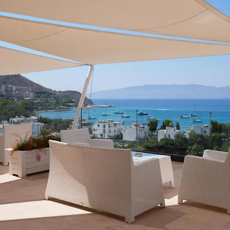 Bellazure トゥルグトレイス