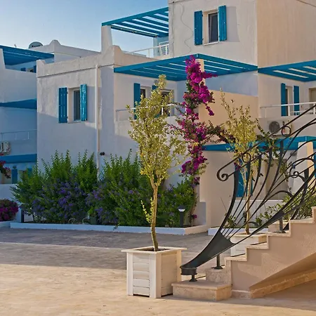 Bellazure トゥルグトレイス