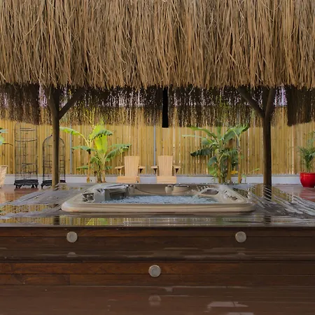 Bellazure トゥルグトレイス