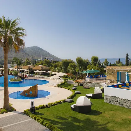 Bellazure トゥルグトレイス