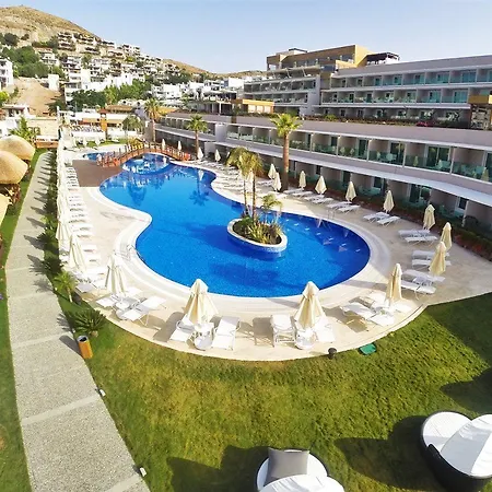 Bellazure トゥルグトレイス