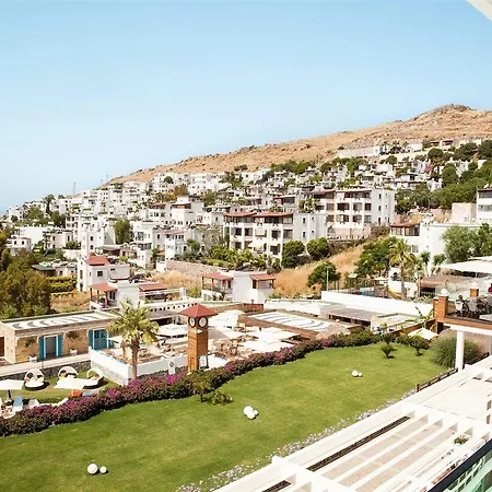 Bellazure トゥルグトレイス