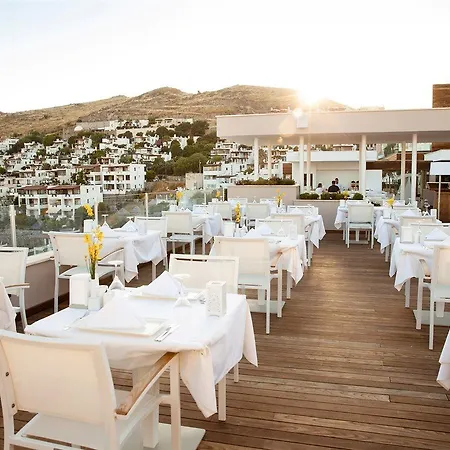 Bellazure トゥルグトレイス