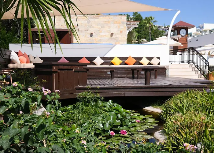 Bellazure Тургутрейс